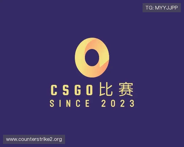 介绍csgo比赛